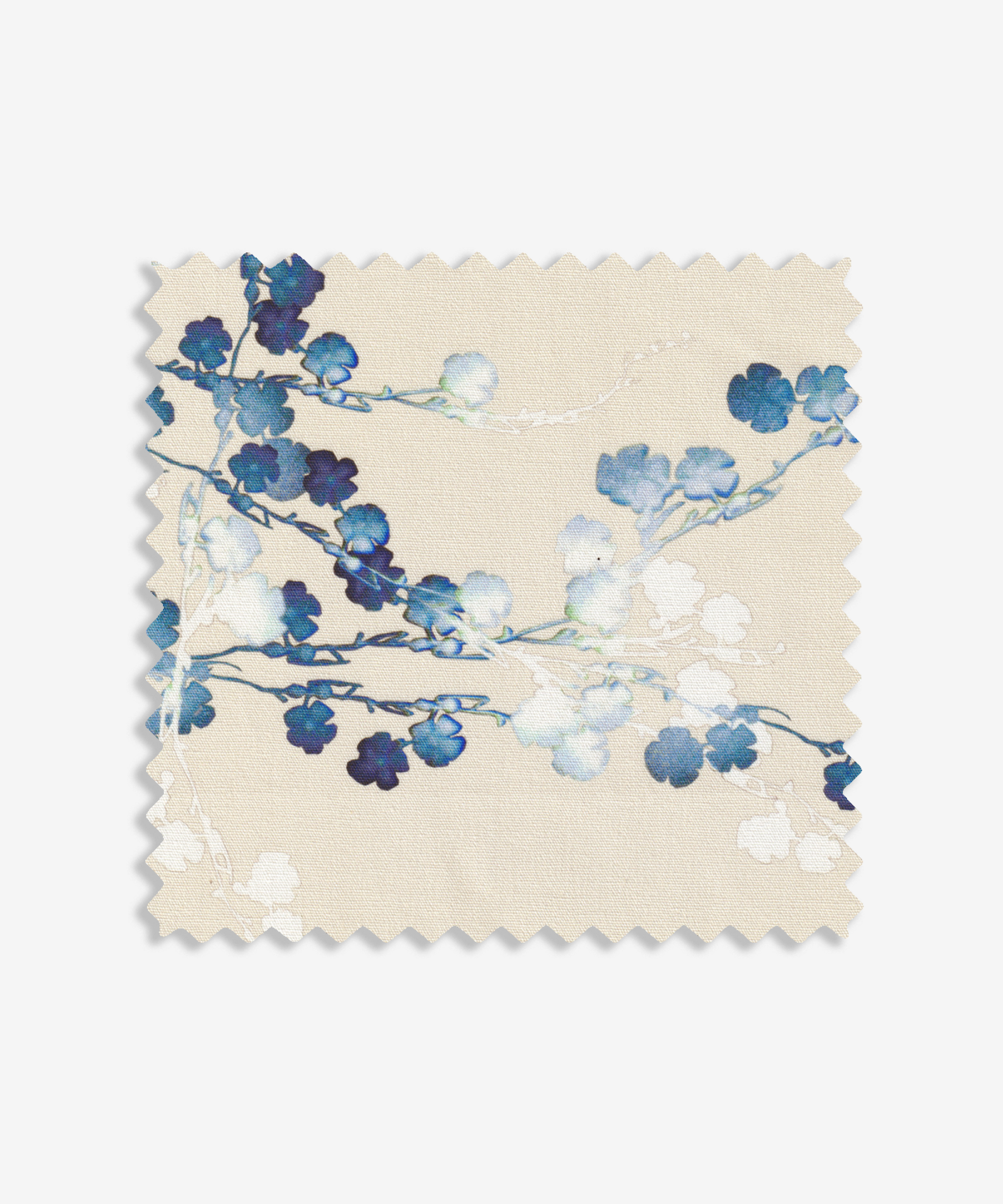 Cherry Blossom