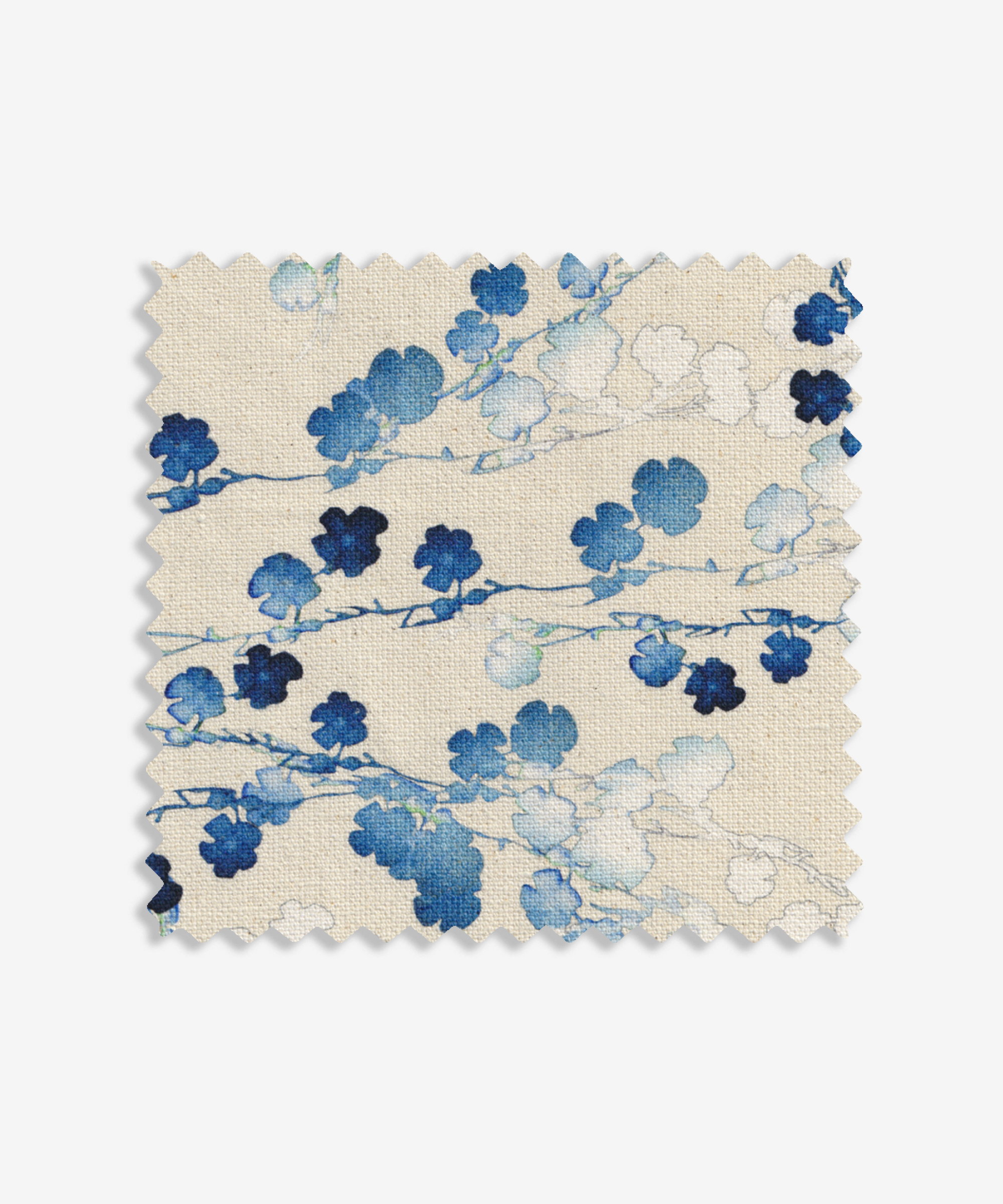 Cherry Blossom