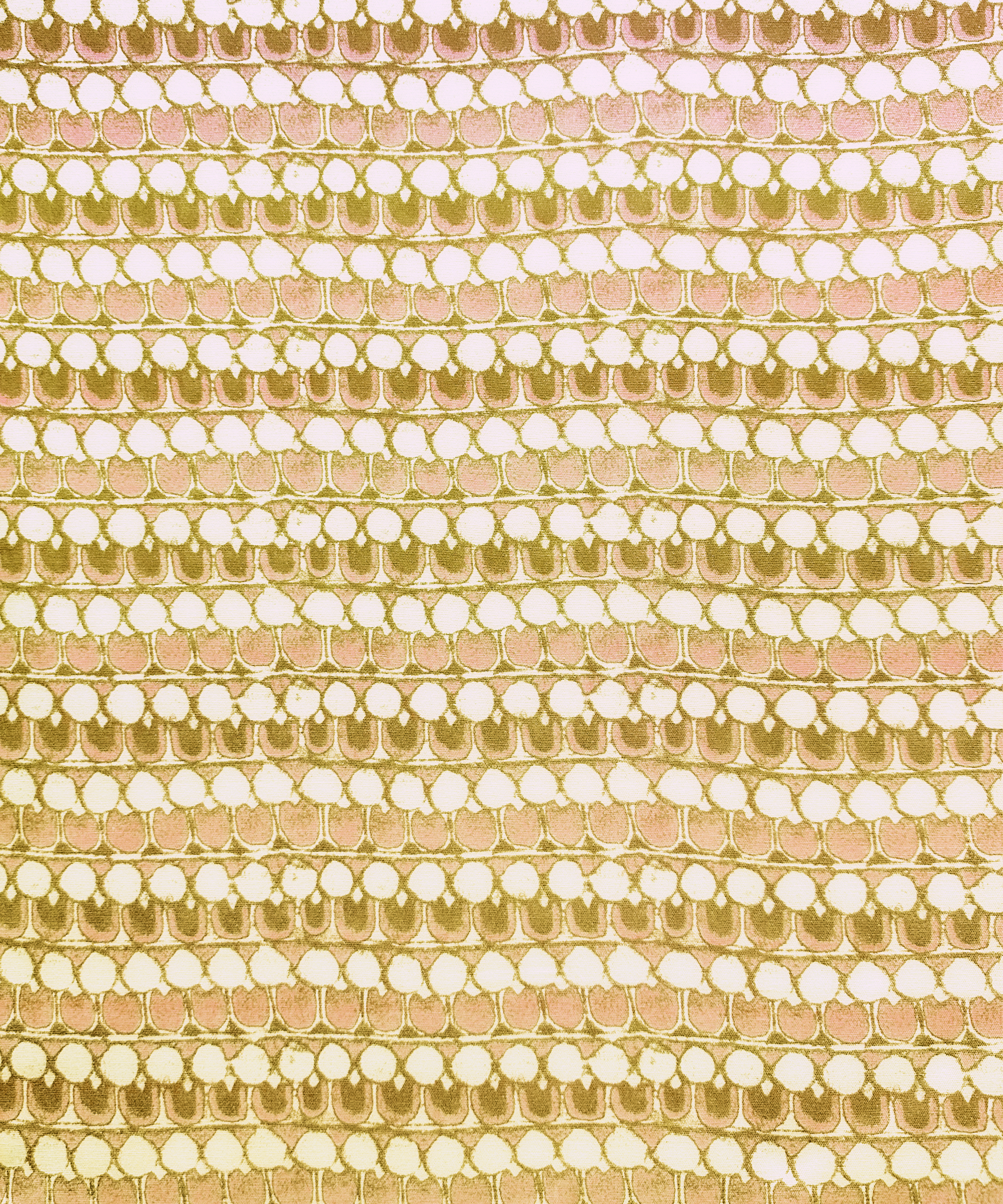 Cochin V03