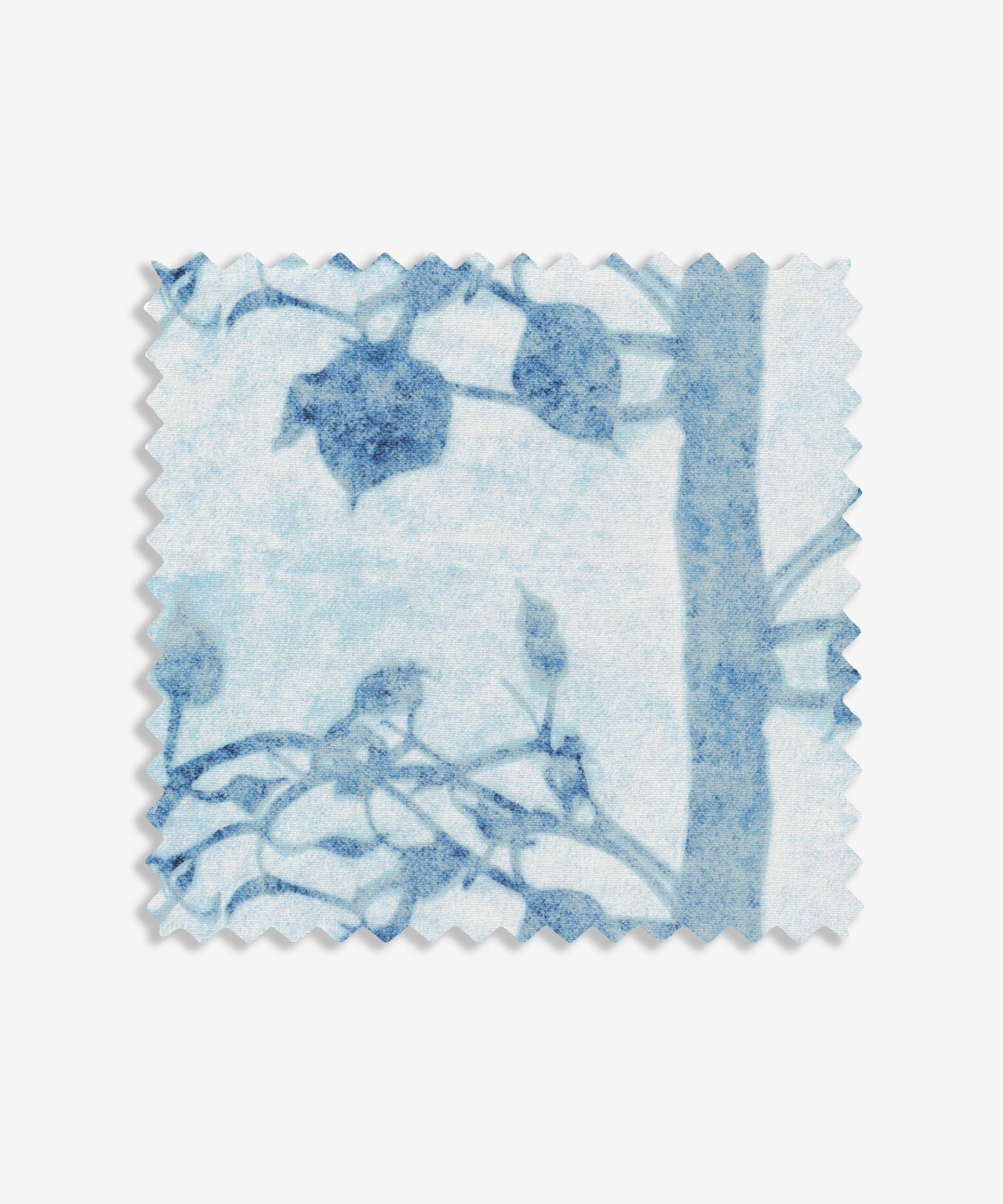 Forest Frost