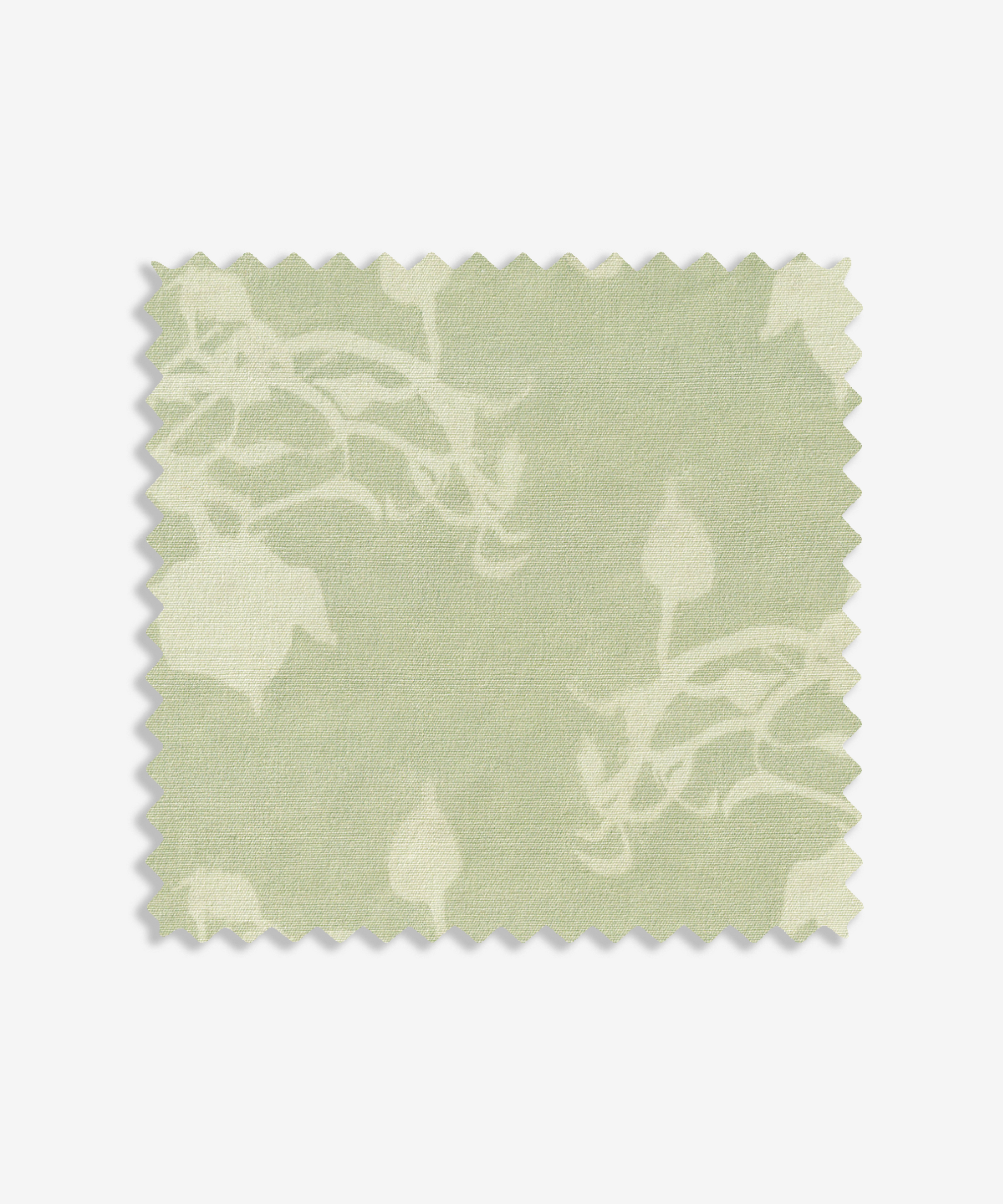 Forest Moss