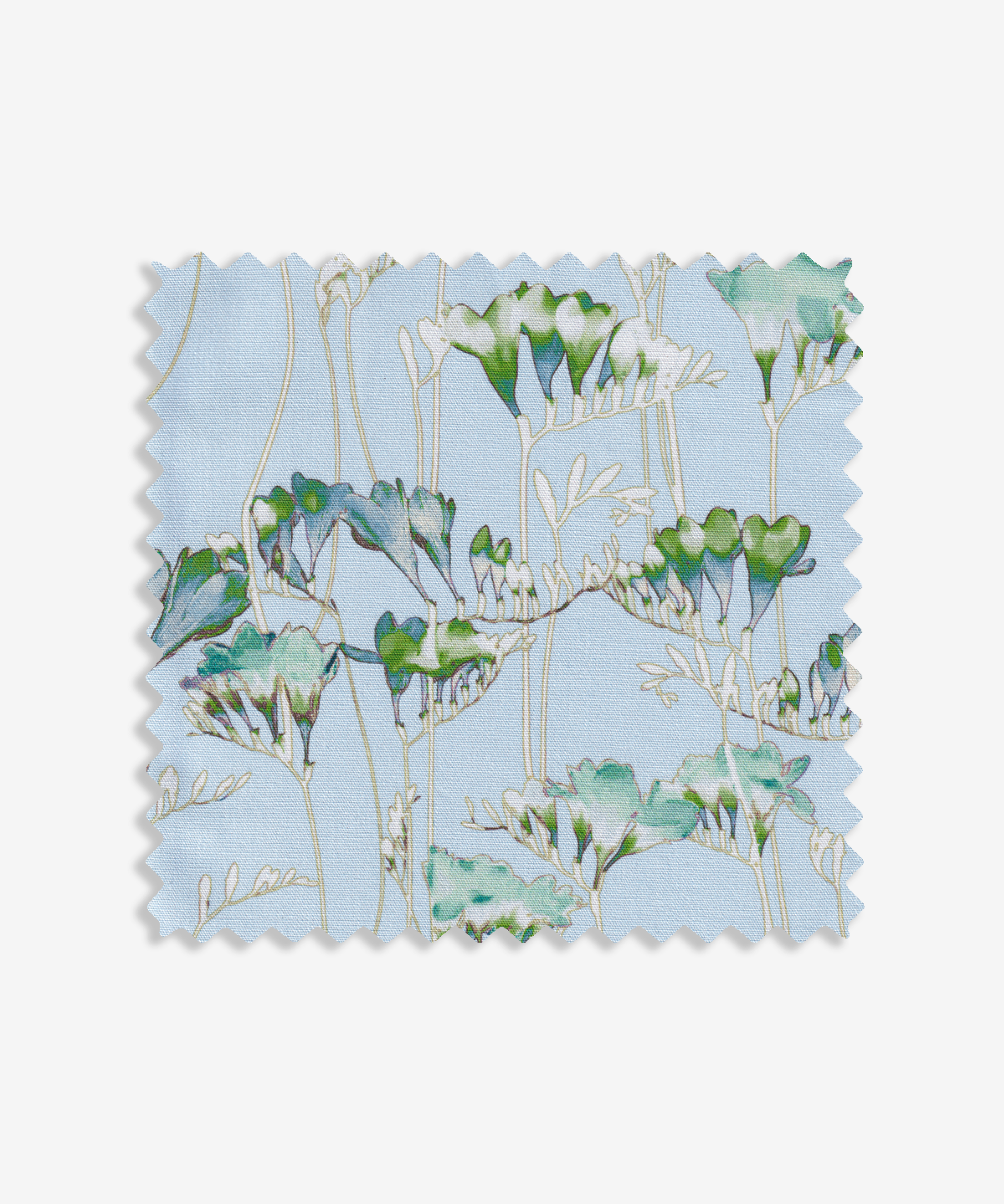 Freesia Sky