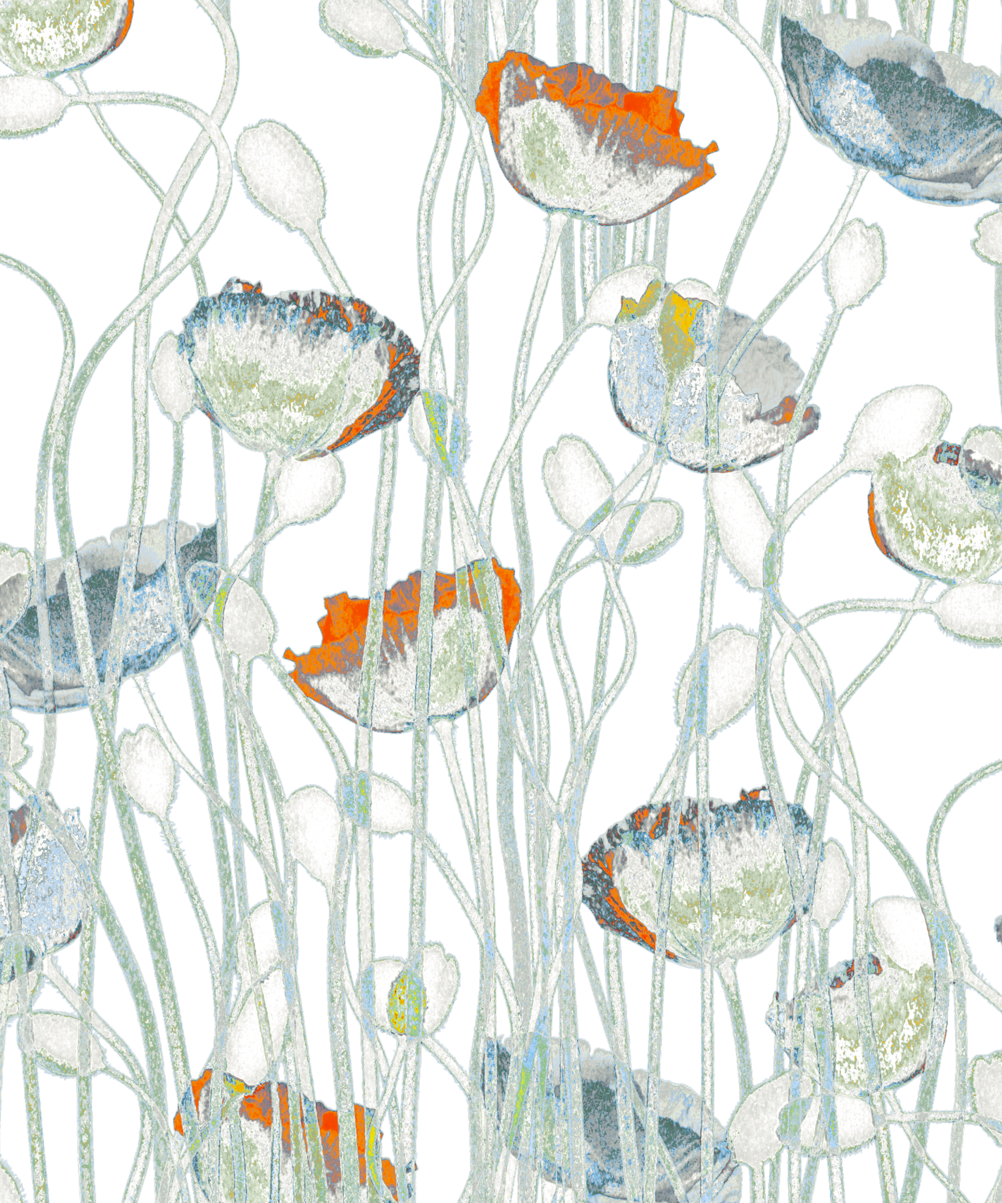 Poppies Spring