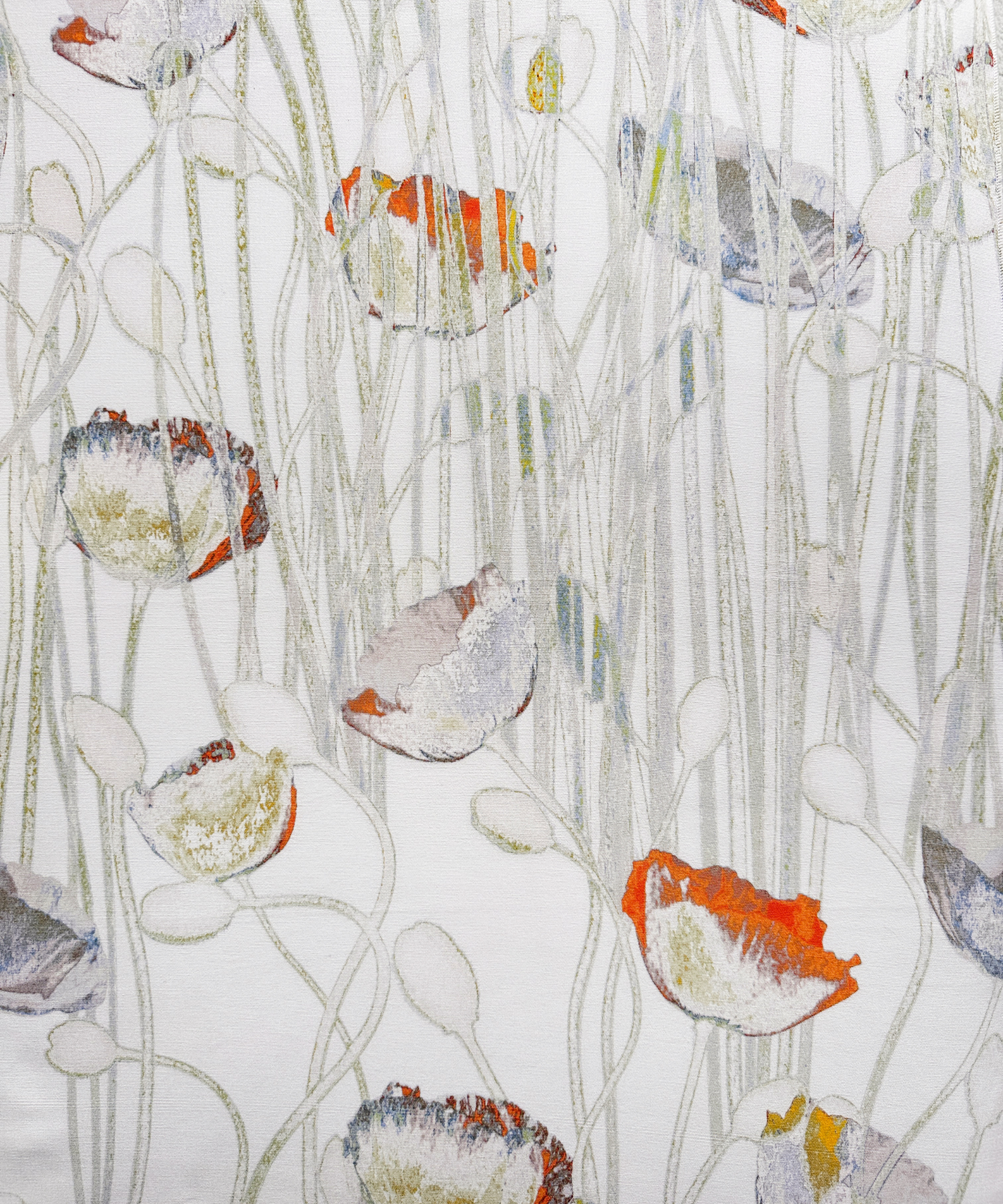 Poppies Spring