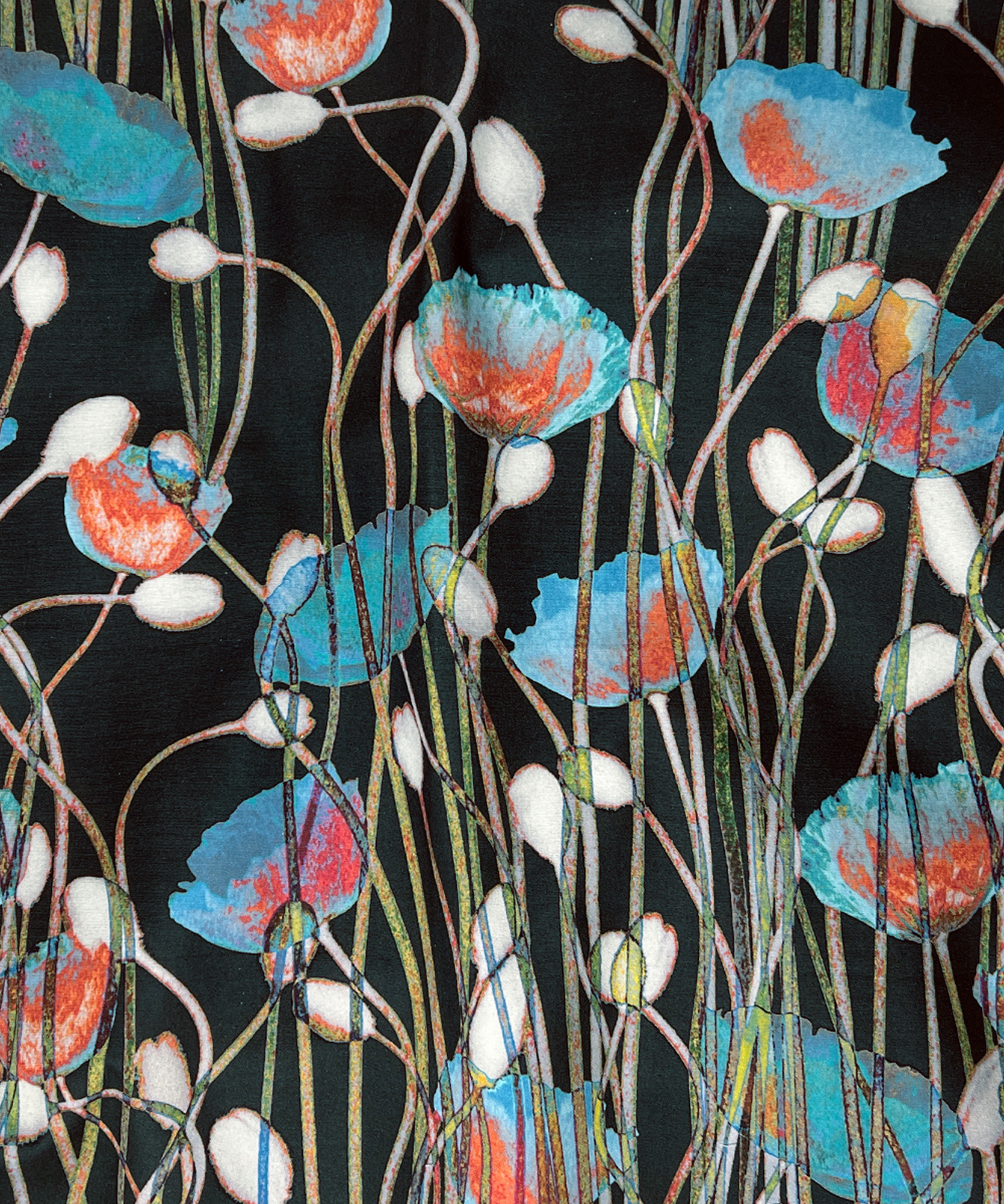 Poppies Winter