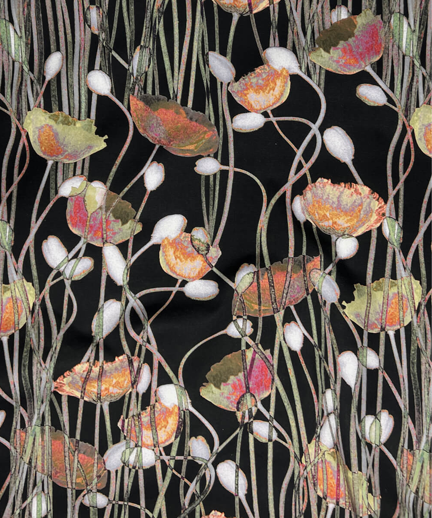 Poppies Autumn