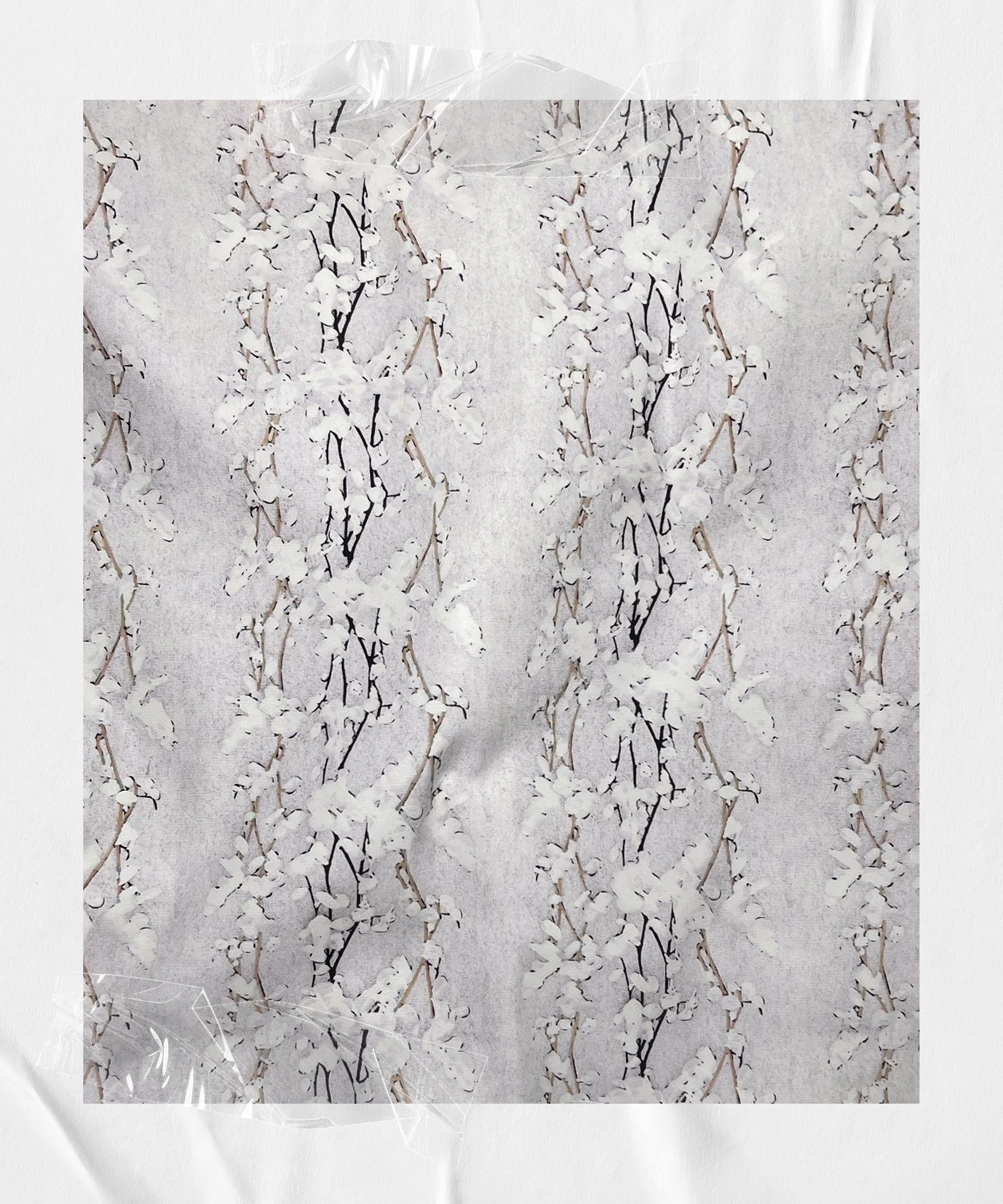 Wisteria Snow