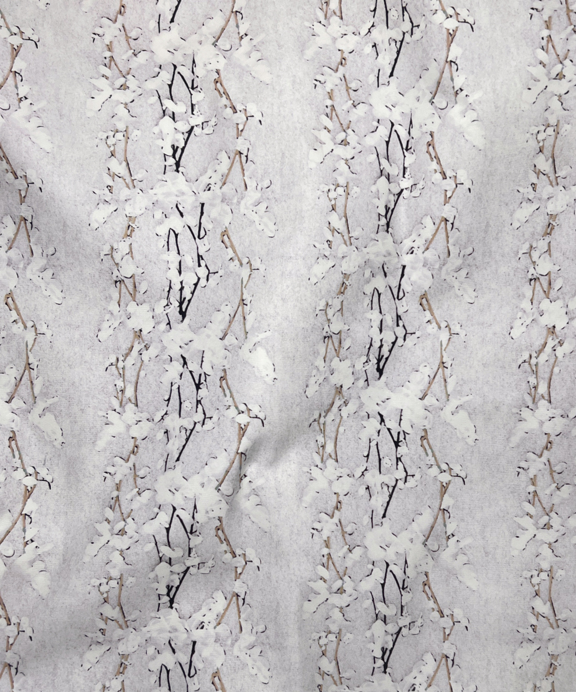 Wisteria Snow