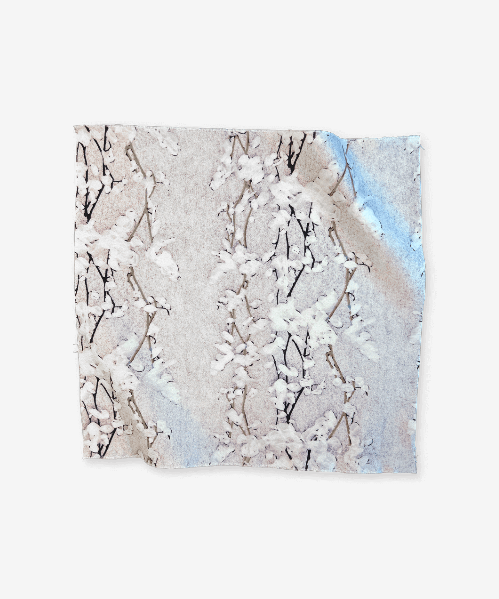 Wisteria Snow