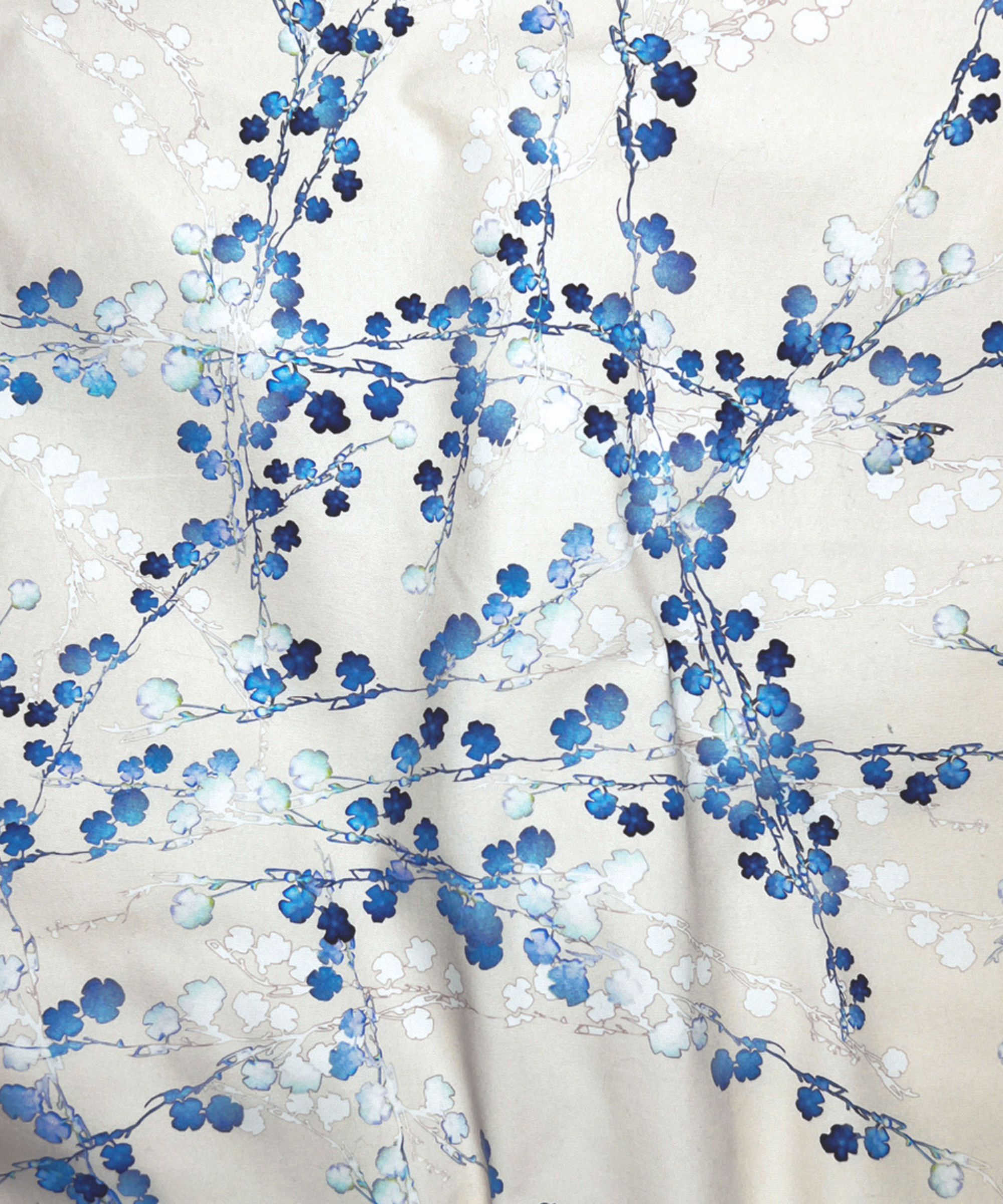 Cherry Blossom