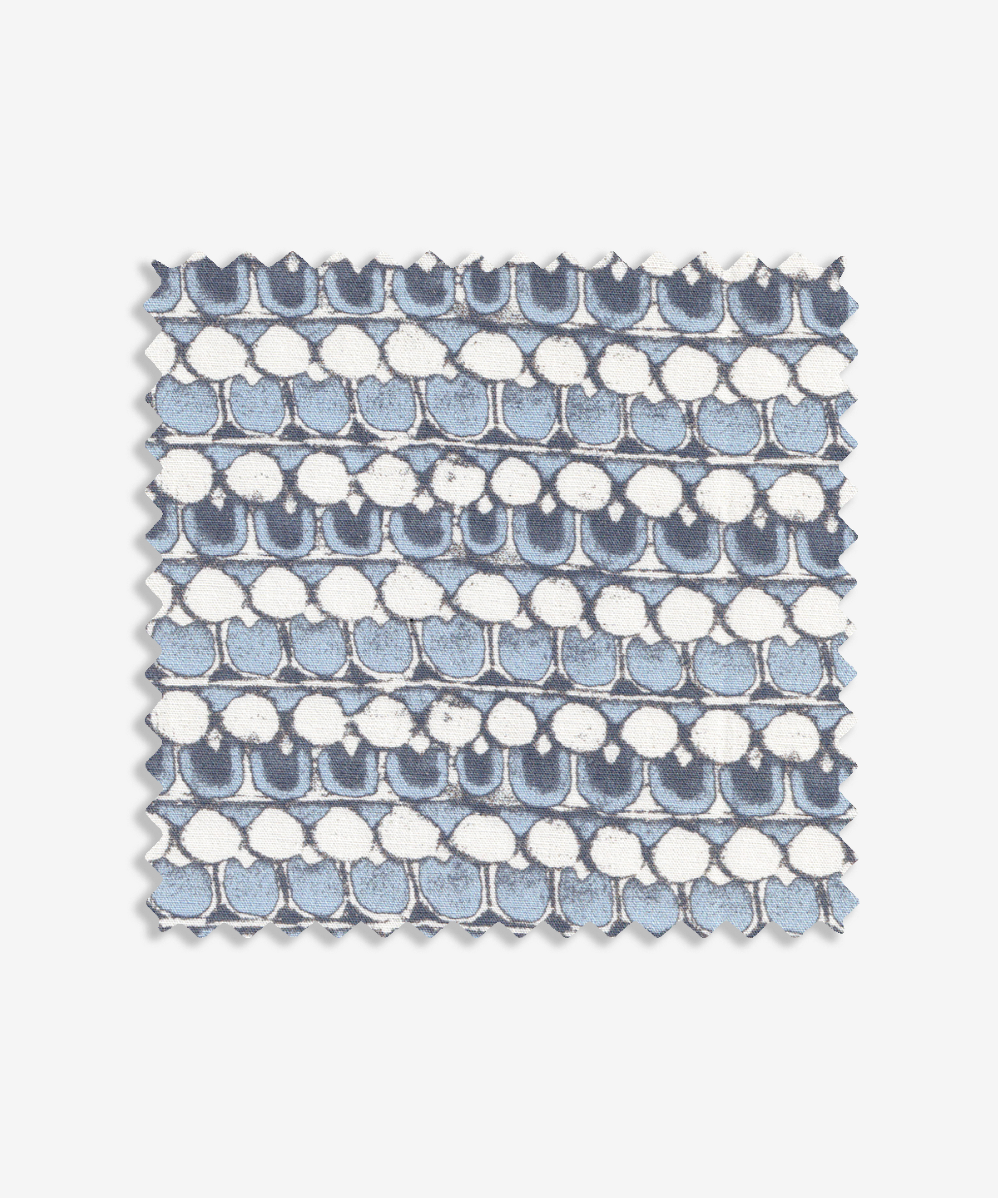 Cochin V02