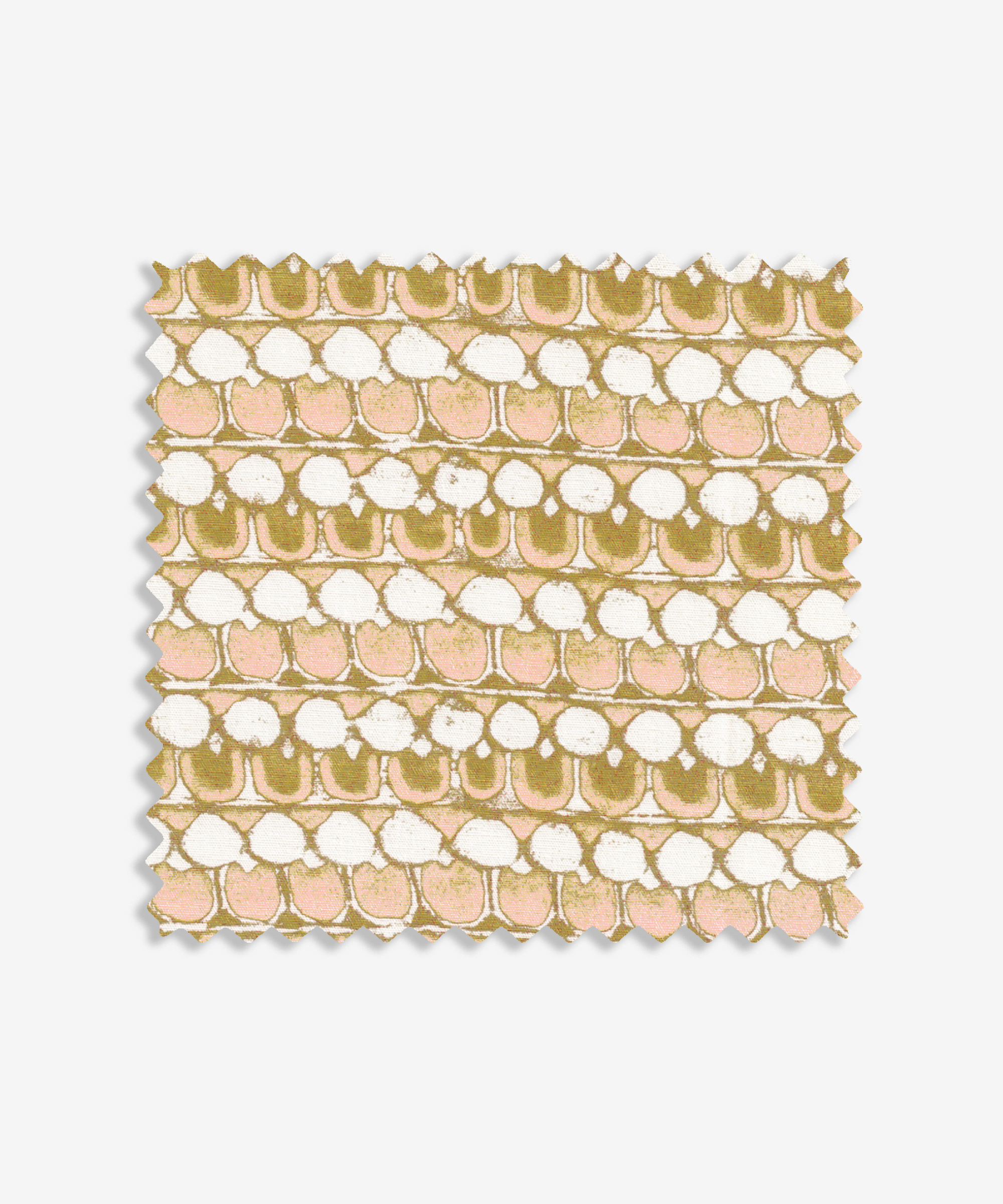 Cochin V03