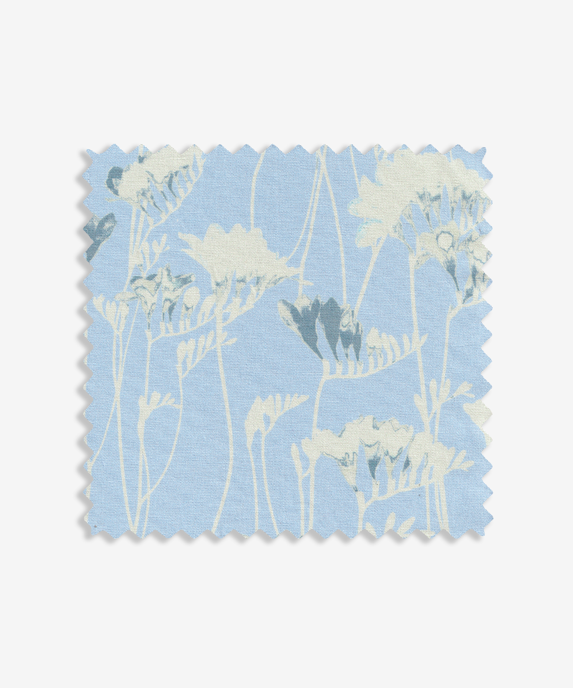 Freesia Snow
