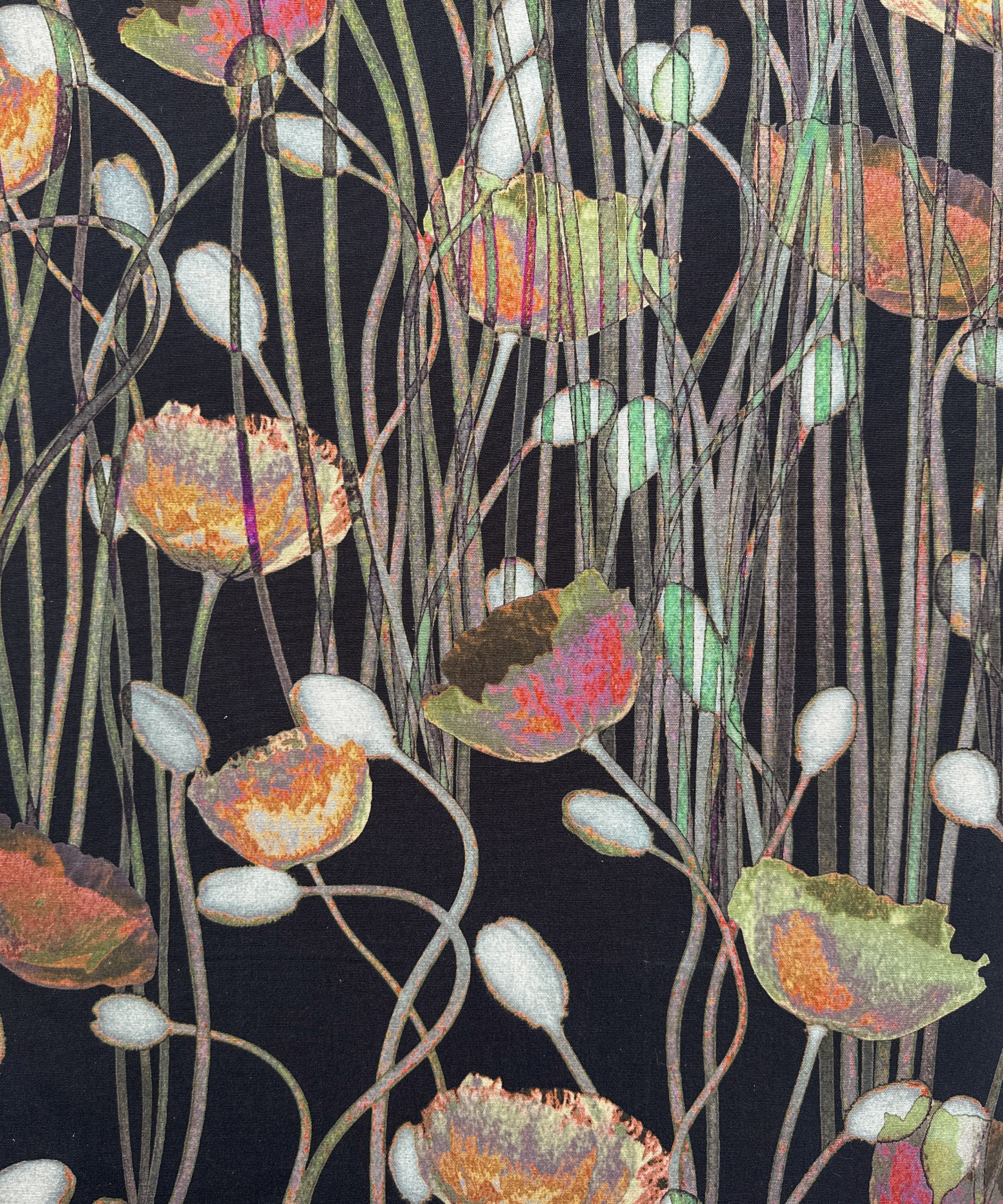 Poppies Autumn