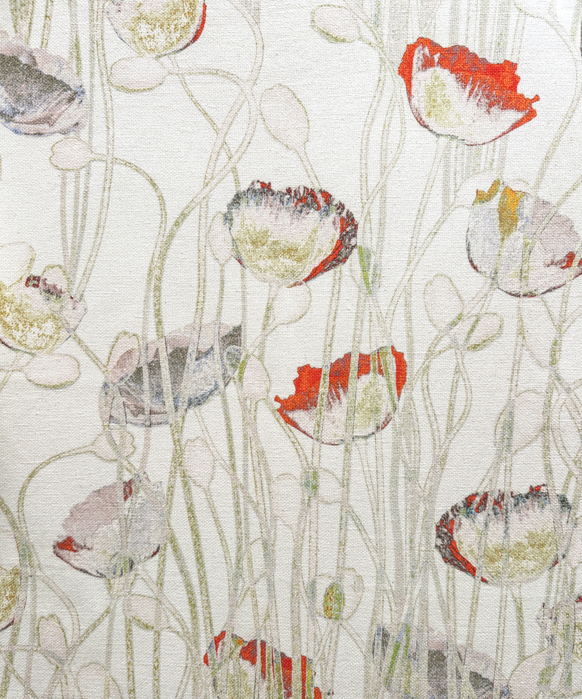 Poppies Spring