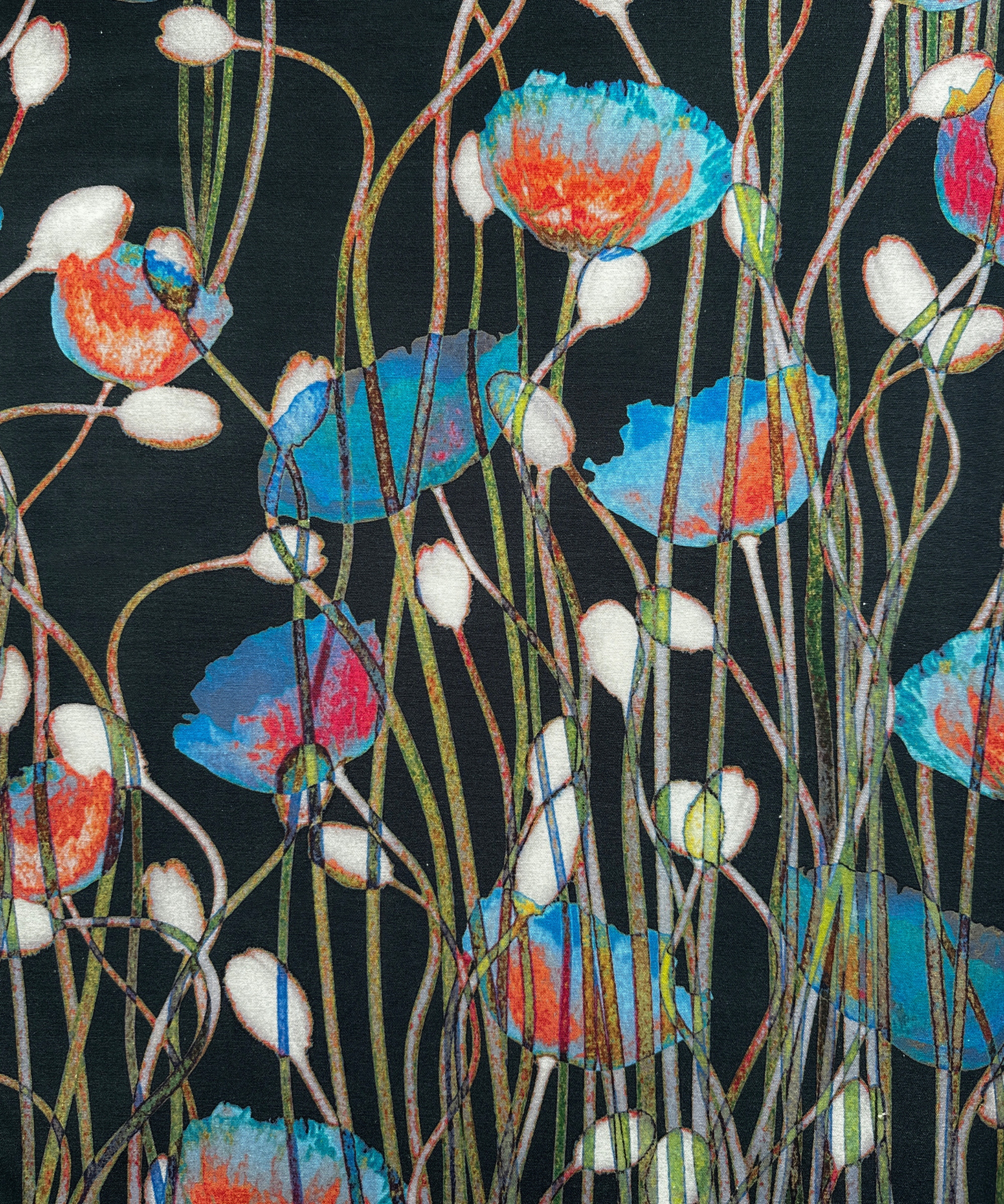 Poppies Winter