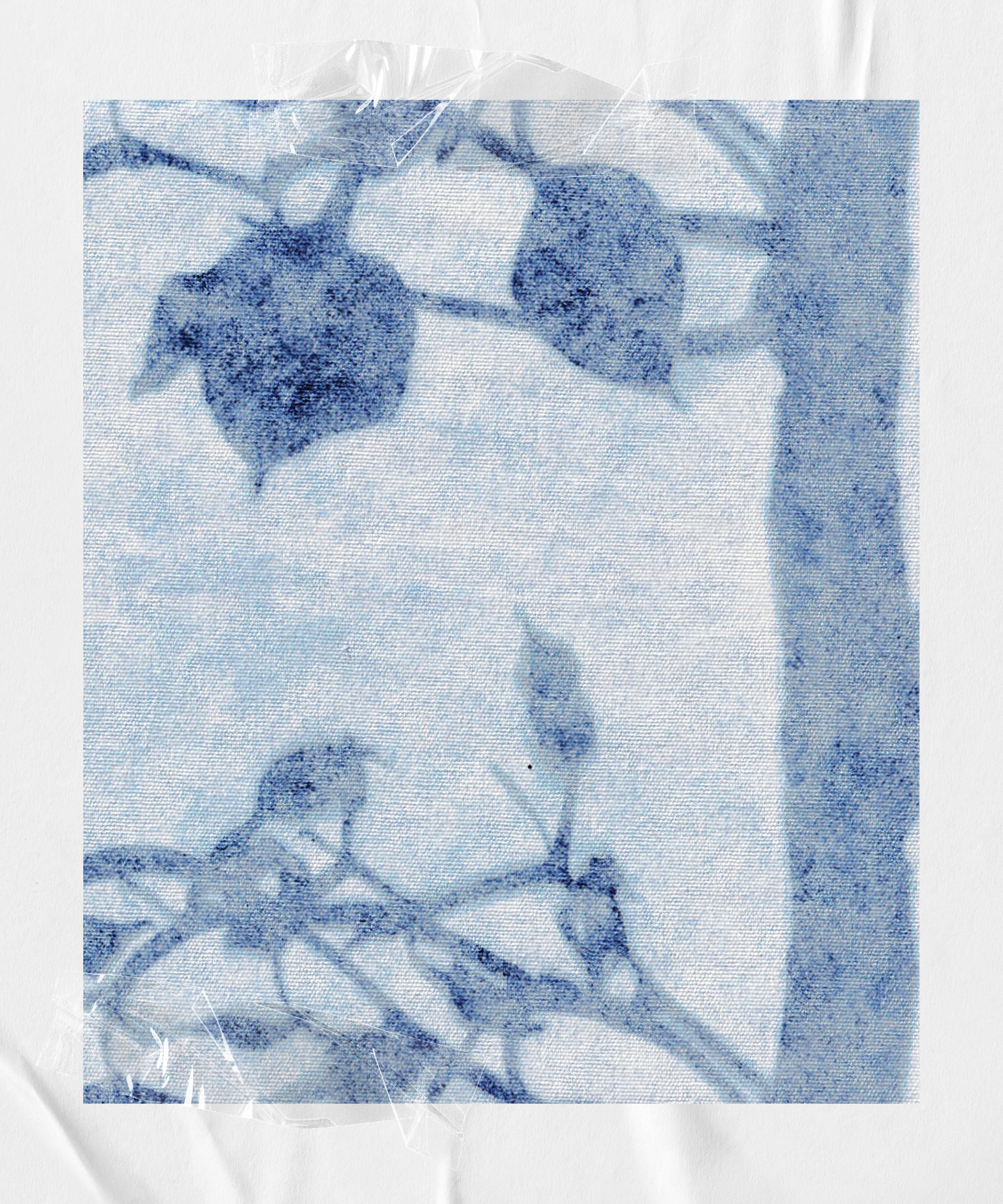 Forest Frost