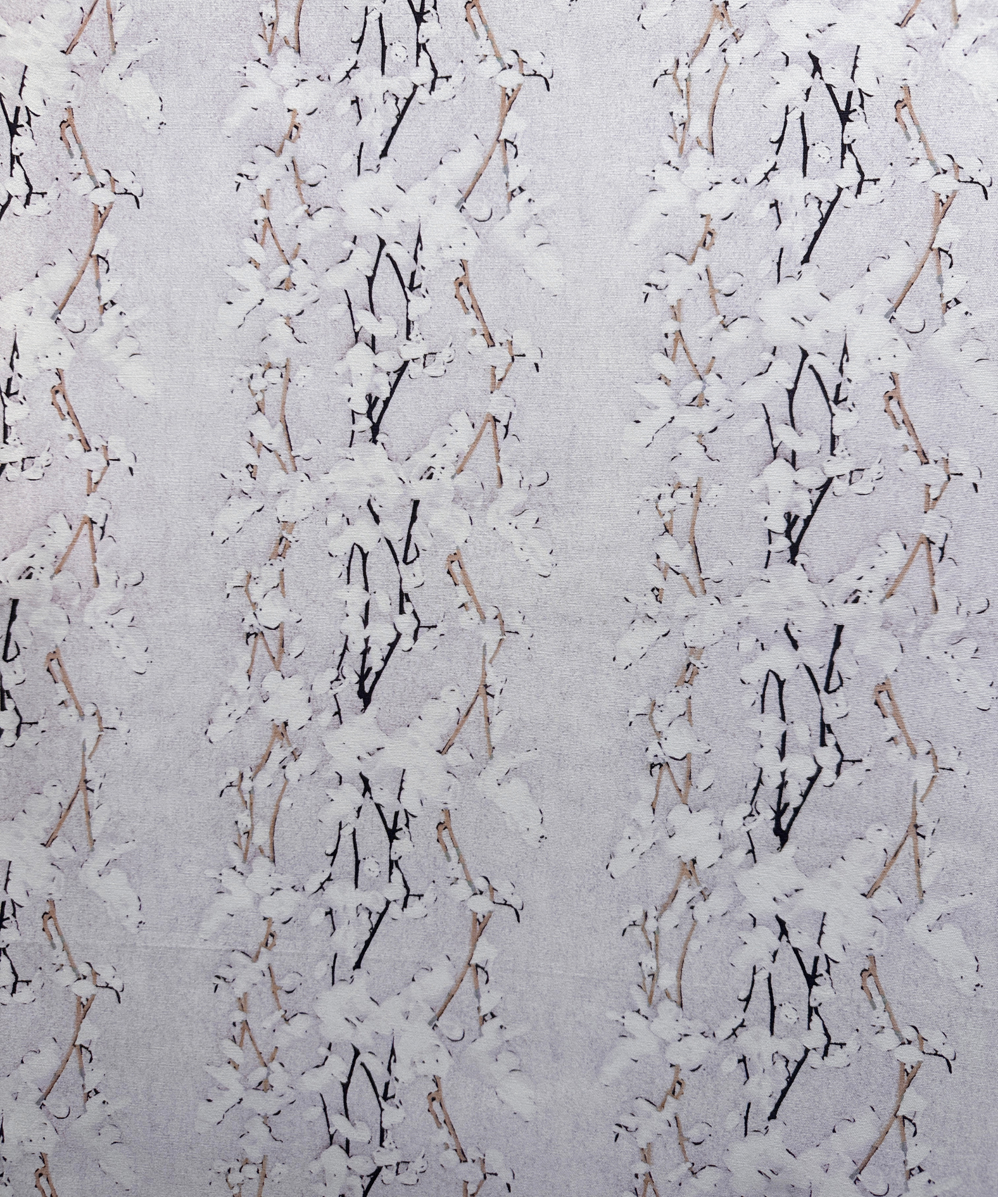 Wisteria Snow